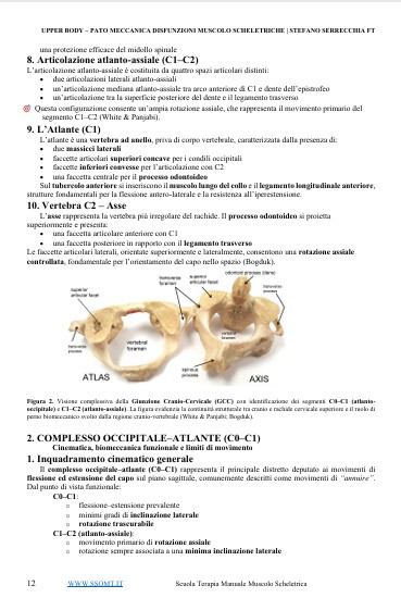 Immagine 2026-03-17 073534