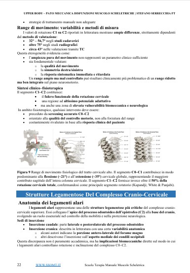 Immagine 2026-03-17 073752