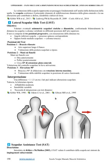 Immagine 2026-03-17 074132