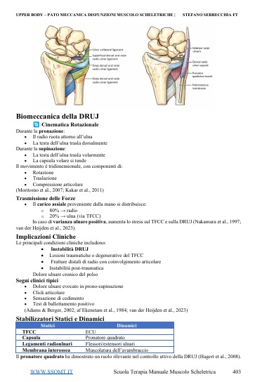 Immagine 2026-03-17 074452