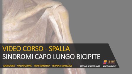 VIDEO CORSO - SPALLA SINDROMI CAPO LUNGO BICIPITE