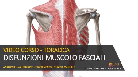 VIDEO CORSO - TORACICA DISFUNZIONI MUSCOLO FASCIALI