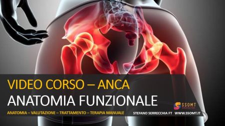 VIDEO CORSO – ANCA ANATOMIA FUNZIONALE